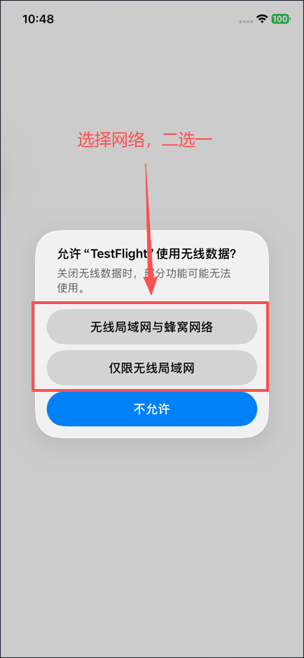 允许 TestFlight 使用无线数据